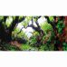 Задний фон для аквариума самоклейка Hobby Green Dream 120x50см