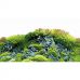 Задний фон для аквариума двухсторонний Hobby 100x50см Hill / Scaping Forest L