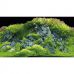 Задний фон для аквариума двухсторонний Hobby 60x30см River/Green Rocks S