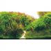 Задний фон для аквариума двухсторонний Hobby 60x30см River/Green Rocks S