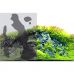 Клей для аквариумных фонов Hobby FotoFix 50мл 30991 Клей для аквариумных фонов Hobby FotoFix 50мл 30991