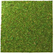 Фон для террариума Repti-Zoo Natural Moss Back & Bottom 45x45см 2шт NCM4545