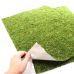 Фон для террариума Repti-Zoo Natural Moss Back & Bottom 50x25см 2шт NCM5025