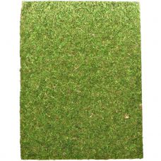 Фон для террариума Repti-Zoo Natural Moss Back & Bottom 50x25см 2шт NCM5025