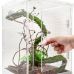 Террариум Repti-Zoo PACR10 Acrylic Terrarium 20x20x30см