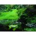 Грунт для террариума торфяной мох Repti-Zoo Sphagnum-Moss 4л 100г
