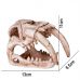 Декорация в террариум Terrario Sabertooth Skull 13x8,5x11см TR15911 Декорация в террариум Terrario Sabertooth Skull 13x8,5x11см TR15911
