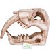 Декорация в террариум Terrario Sabertooth Skull 13x8,5x11см TR15911 Декорация в террариум Terrario Sabertooth Skull 13x8,5x11см TR15911