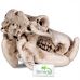 Декорация в террариум Terrario Hippo Skull 5x3x3см TR533 Декорация в террариум Terrario Hippo Skull 5x3x3см TR533