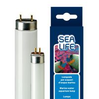 Люминесцентная лампа для аквариума Т5 Ferplast SEALIFE 24 Ватт 54,9 см 67124000