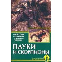 Книга Пауки и скорпионы