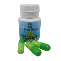Ptero Флора Terra 10 капсул (комлексное удобрение для аквариумных растений)