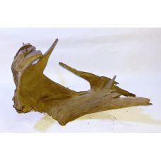 Коряга в аквариум для акваскейпинга из корня дуба 01-53 Коряга в аквариум для акваскейпинга из корня дуба 01-53