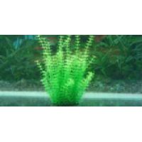 Пластиковое растение для аквариума 024252