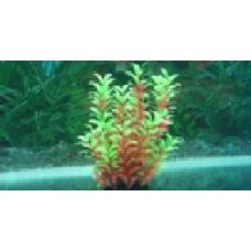 Пластиковое растение для аквариума 034251 25см