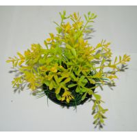 Пластиковое растение для аквариума 054081