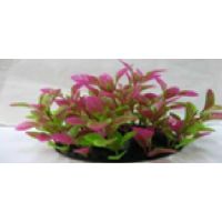 Пластиковое растение для аквариума 097095