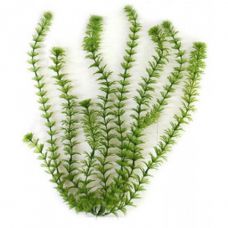 Пластиковое растение для аквариума TETRA Ambulia 20см 3052