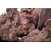 Живой камень для морского аквариума CaribSea LifeRock Shelf 1кг