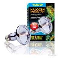 Лампа галогеновая Hagen Exo Terra Halogen Basking Spot 100W PT2183