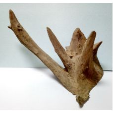 Коряга в аквариум для акваскейпинга из корня дуба 01-57