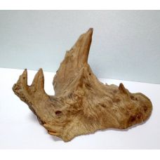 Коряга в аквариум для акваскейпинга из корня дуба 01-58