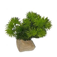 Пластиковое растение для аквариума 2677-2 9см