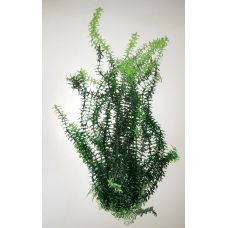 Пластиковое растение для аквариума 047652