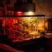 Светильник двойной Terrario DUORAY 2.0 E27 2x60W для террариума Светильник двойной Terrario DUORAY 2.0 E27 2x60W для террариума